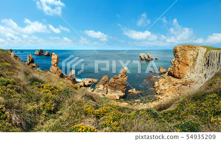 Blossoming Atlantic Ocean coastline. Blossoming Atlantic Ocean coastline. 54935209