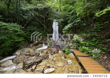 楊梅瀑布（滋賀縣大津市） 54936718