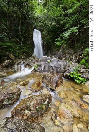 楊梅瀑布(滋賀縣大津市) 楊梅瀑布(滋賀縣大津市) 54936721