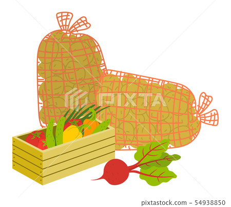 Harvesting Products, Vegetables in Case Vector 54938850