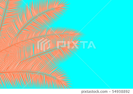 Palm leaves. Summer background 54938892