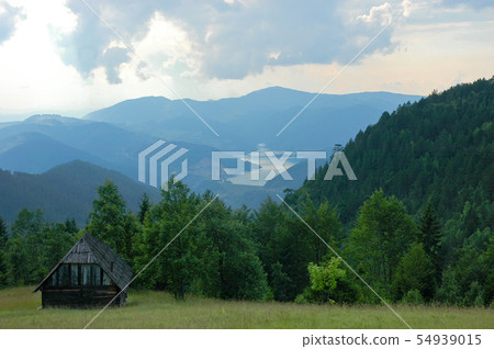 Zaovine lake in the National Park Tara, Serbia Zaovine lake in the National Park Tara, Serbia 54939015