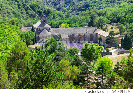 Abbey Senanque and Lavender field, France 54939199