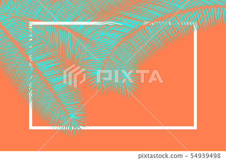 Palm leaves. Summer background Palm leaves. Summer background 54939498