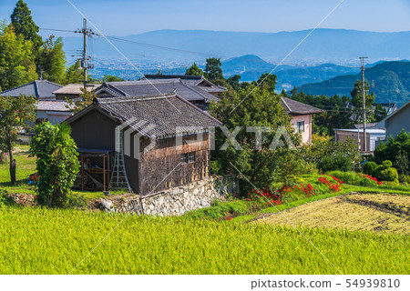 Autumn countryside Autumn countryside 54939810