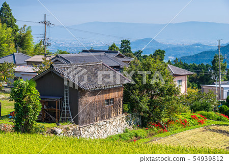 Autumn countryside Autumn countryside 54939812
