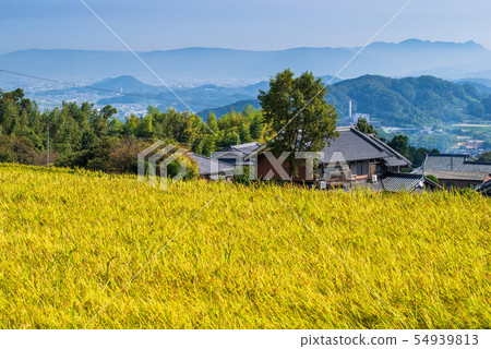 Autumn countryside Autumn countryside 54939813