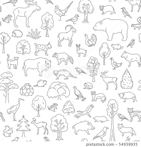 Temperate broadleaf forest and mixed forest biome Temperate broadleaf forest and mixed forest biome 54939935