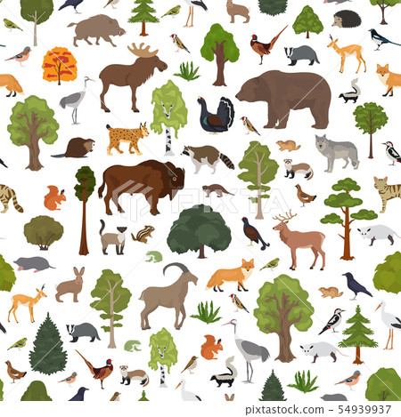 Temperate broadleaf forest and mixed forest biome. 54939937