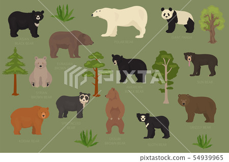 All world bear species in one set. Bears All world bear species in one set. Bears 54939965