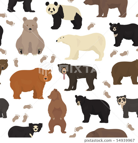 All world bear species in one set. Bears seamless All world bear species in one set. Bears seamless 54939967