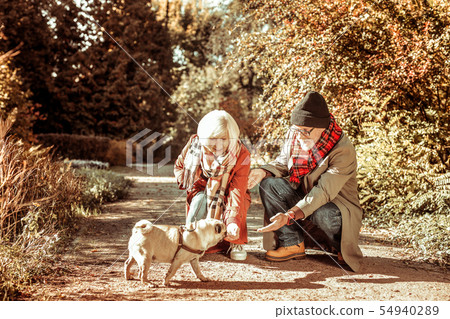 Happy senior couple walking their dog together. 54940289