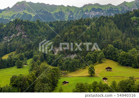 Countryside view and farmland of Lauterbrunnen 54940316