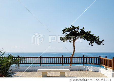 Idyllic scenery lonely tropical tree Idyllic scenery lonely tropical tree 54941004