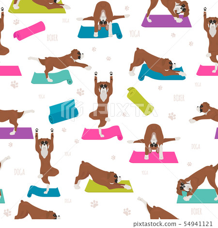 Yoga dogs poses and exercises. Boxer dog seamless 54941121