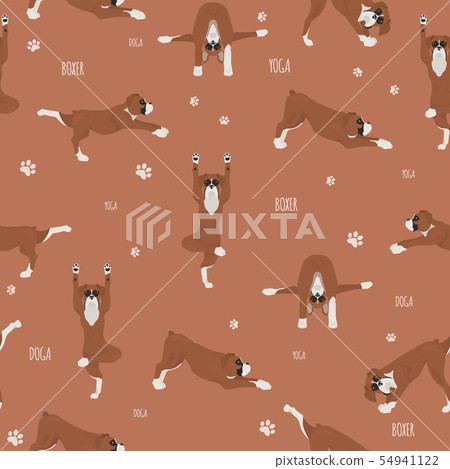 Yoga dogs poses and exercises. Boxer dog seamless 54941122