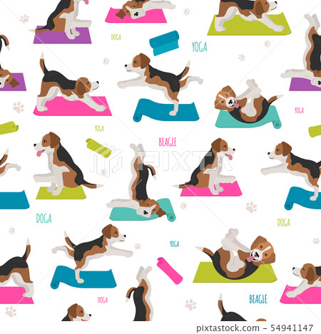 Yoga dogs poses and exercises. Beagle seamless 54941147