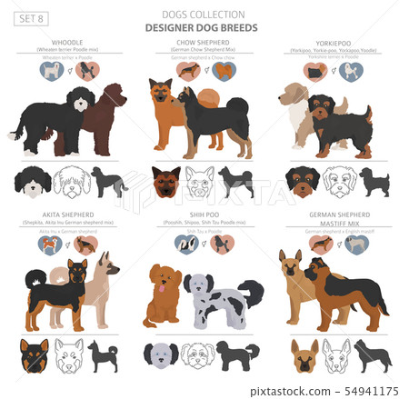 Hybrid store designer dogs