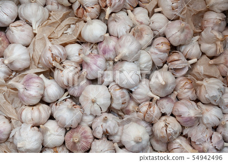 Large amount of scattered garlic on the substrate Large amount of scattered garlic on the substrate 54942496