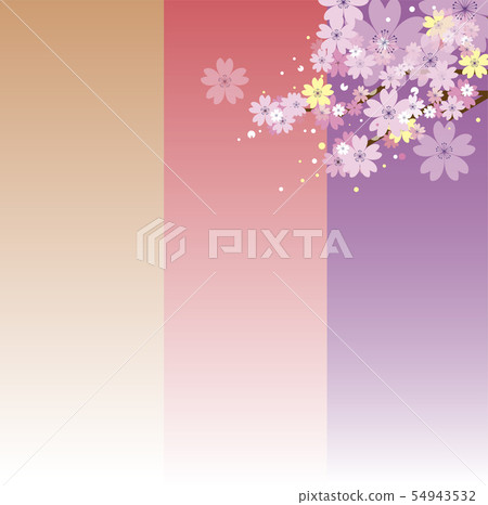 Japanese style cherry blossom background Japanese style cherry blossom background 54943532