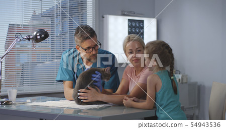 Veterinarian explaining to cats masters Veterinarian explaining to cats masters 54943536