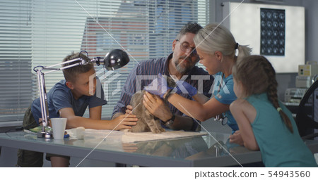 Veterinarian performing ultrasound scan 54943560