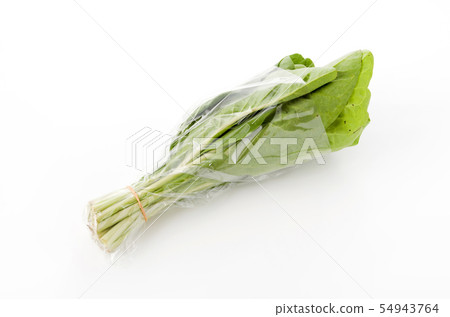 Nigana，Njana（Hosoba Wadan）在一個袋子裡 54943764