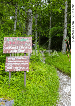 Torakura Forest Road Climb (Vertical) 54944284