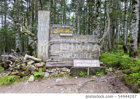 Sanbushaki和森林 54944287