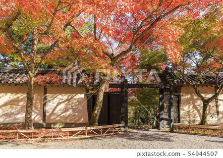 京都,Nizon-in,秋天,紅葉,Tsukiji-mochi和Kuromon 京都,Nizon-in,秋天,紅葉,Tsukiji-mochi和Kuromon 54944507