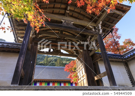 京都,Nizon-in,秋天,秋葉,Tes 京都,Nizon-in,秋天,秋葉,Tes 54944509