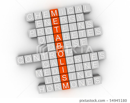 3d Metabolism word cloud concept - Illustration 3d Metabolism word cloud concept - Illustration 54945180
