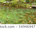 A pond 54946947