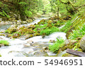 Mountain stream water 54946951