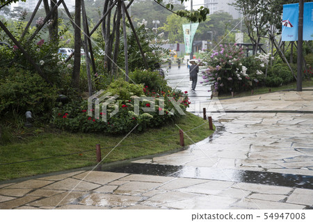 雨天街道風景 54947008