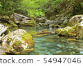 Moss and mountain stream 54947046