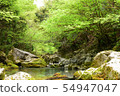 Nature and mountains 54947047