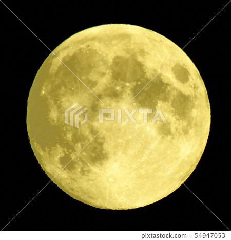 黃色的月亮 54947053