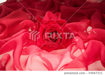 Flowers And Fabric Flowers And Fabric 54947331