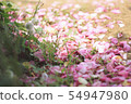 Petal carpet 54947980