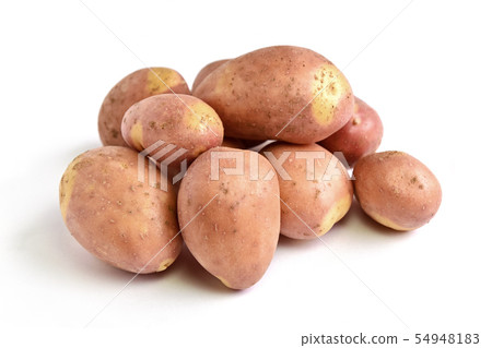 Potato (Inca's Hitomi) Potato (Inca's Hitomi) 54948183
