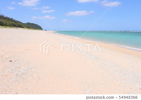 奄美大島海 54948366
