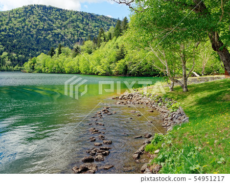 Hokkaido Fresh green Lake Shibetsu Hokkaido Fresh green Lake Shibetsu 54951217