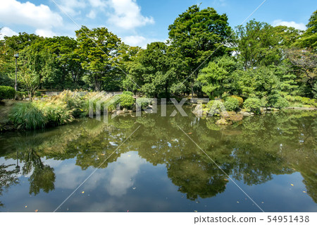 Diet front garden Japanese garden Diet front garden Japanese garden 54951438