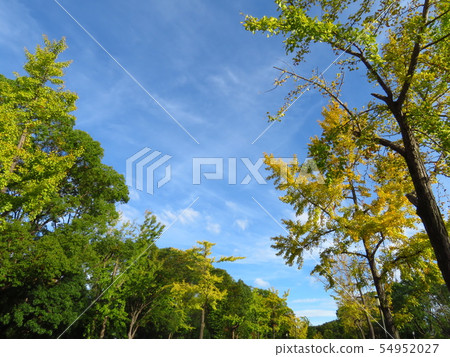 大阪城公園 大阪城公園 54952027