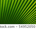 Abstract of green palm leaf for background 54952050