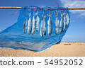 Fourfinger threadfin dried fish, Thailand 54952052