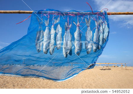 Fourfinger threadfin dried fish, Thailand 54952052