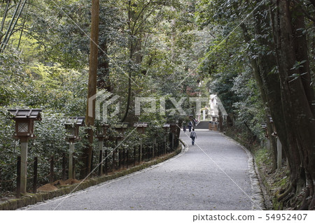Miwa Myojin Ogami Shrine (2 Torii-approach) 54952407