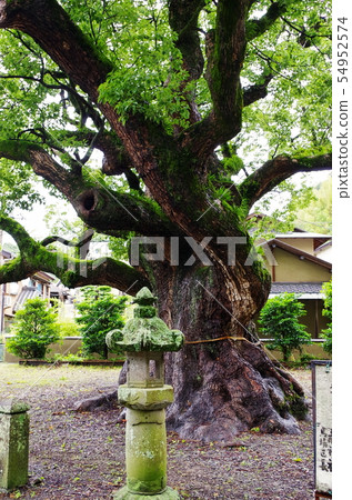 Toi Onsen, Toi Shrine Toi Onsen, Toi Shrine 54952574